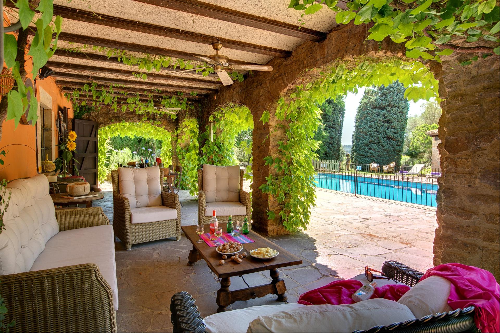Under the vines